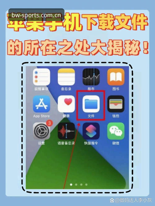 揭秘BW下载教程手机版：如何快速安全获取博万体育官方APP