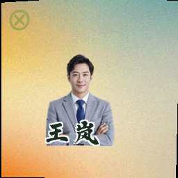 王岚